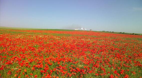 Les Coquelicots En Baie De Somme Villa Saint-Blimont Exterior photo